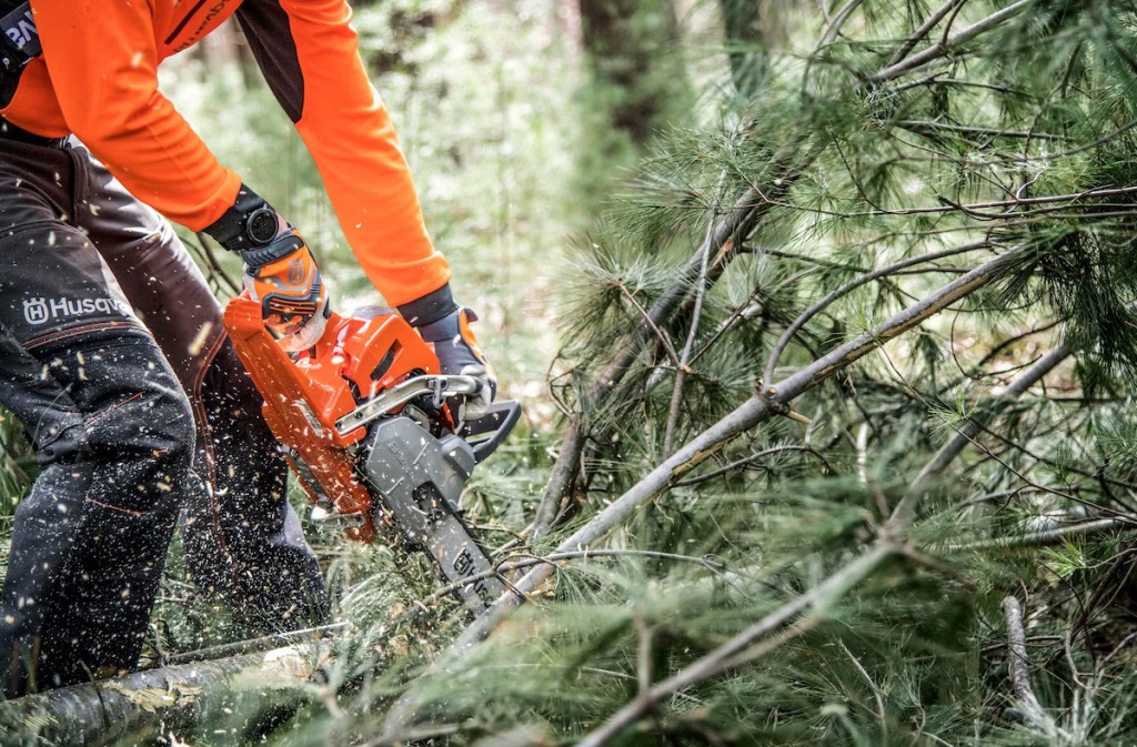 Chainsaw Safety Requirements